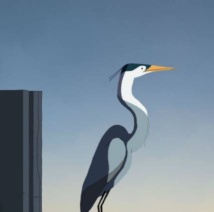 The IFB Announces Successful Projects in Latest Frameworks Short Film Scheme