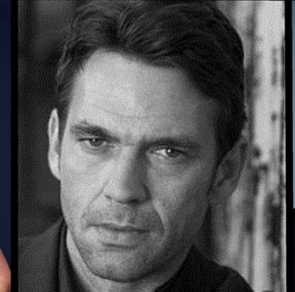 Connie Nielsen and Dougray Scott Join Hermione Corfield In The Female Driven Irish Thriller Sea Fever