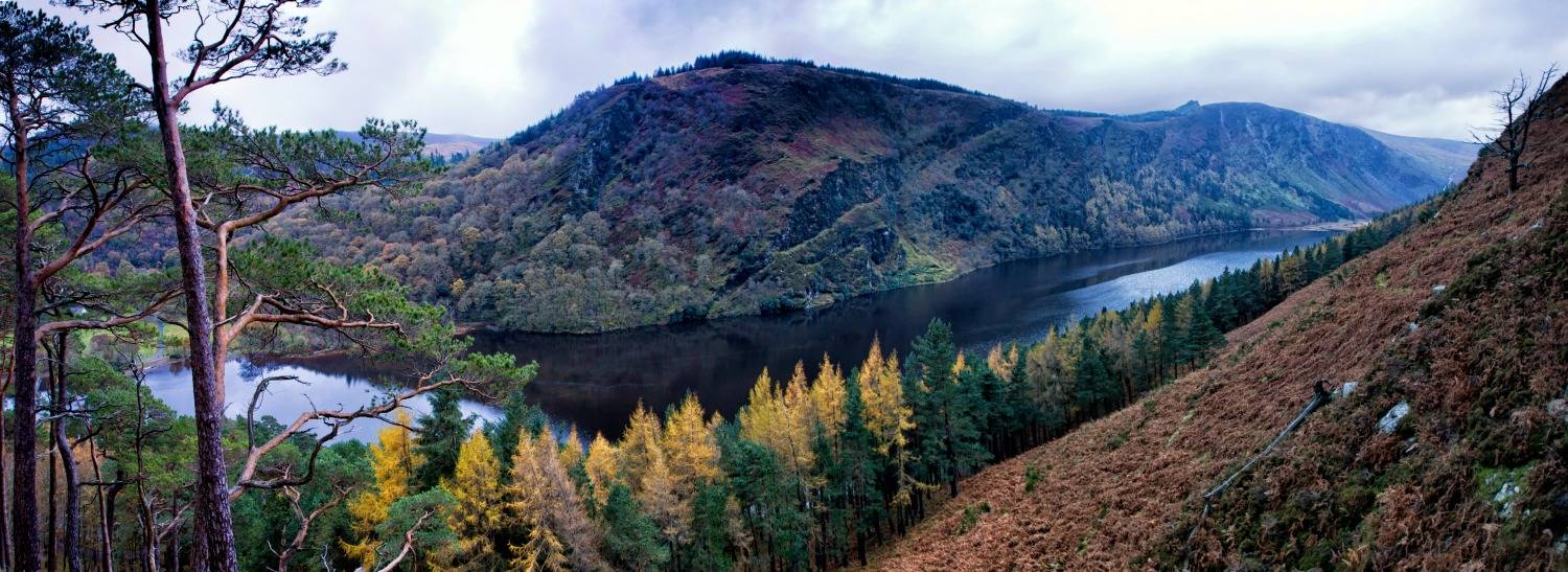 Screen Ireland are seeking applicants for the AFCI: Film Commission Fundamentals
