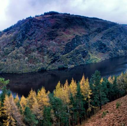 Screen Ireland are seeking applicants for the AFCI: Film Commission Fundamentals