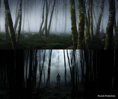 Filming at Glendalough Forest, Co. Wicklow