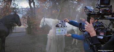 Kilruddery Estate, Co. Wicklow (The Turning, 2020)