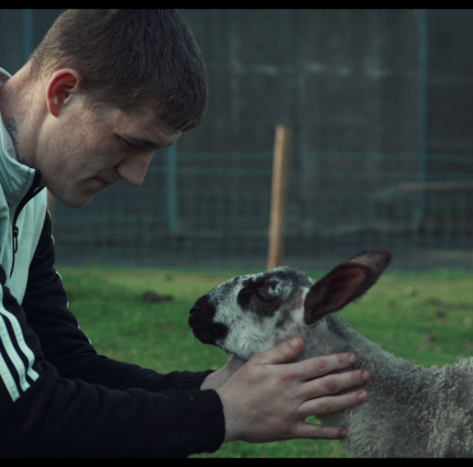 Docs Ireland 2026 launches programme