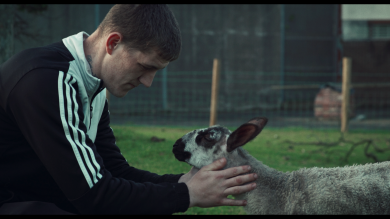 Docs Ireland 2026 launches programme