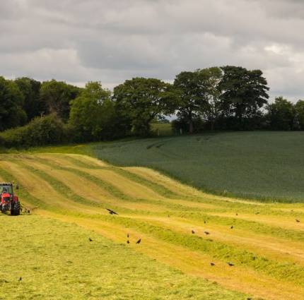 Discover your Career in the Creative Screen Industry at the National Ploughing Championships 2023