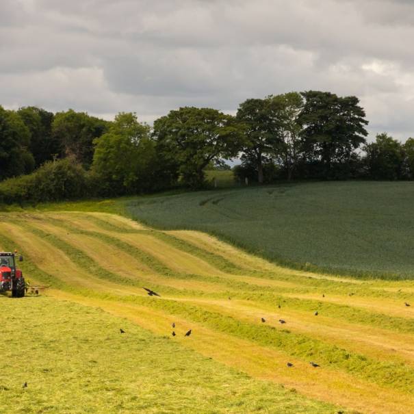 Discover your Career in the Creative Screen Industry at the National Ploughing Championships 2023