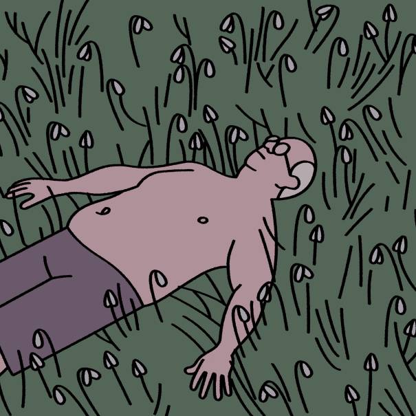 Screen Ireland’s flagship animated short film scheme Frameworks is now open for applications for 2026