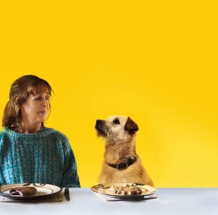 16 Sales Companies from Europe awarded Film Sales Support for the American Film Market