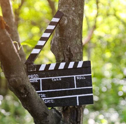 New Native Events report Decarbonising for Ireland’s Screen Stakeholders published ahead of Cut to Zero panel at the 37th Galway Film Fleadh