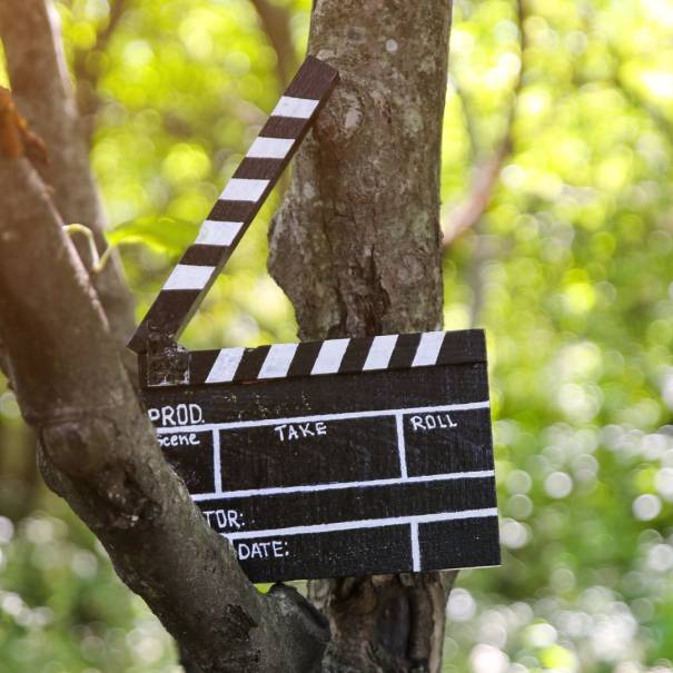 New Native Events report Decarbonising for Ireland’s Screen Stakeholders published ahead of Cut to Zero panel at the 37th Galway Film Fleadh