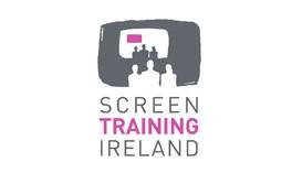 Screen Training Ireland Vacancy: Apprenticeship and Traineeship Executive
