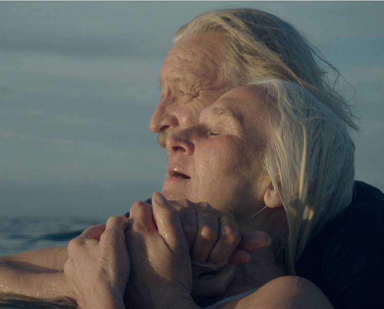 The IFB is Now Accepting Applications for its FOCUS SHORTS Short Film Scheme