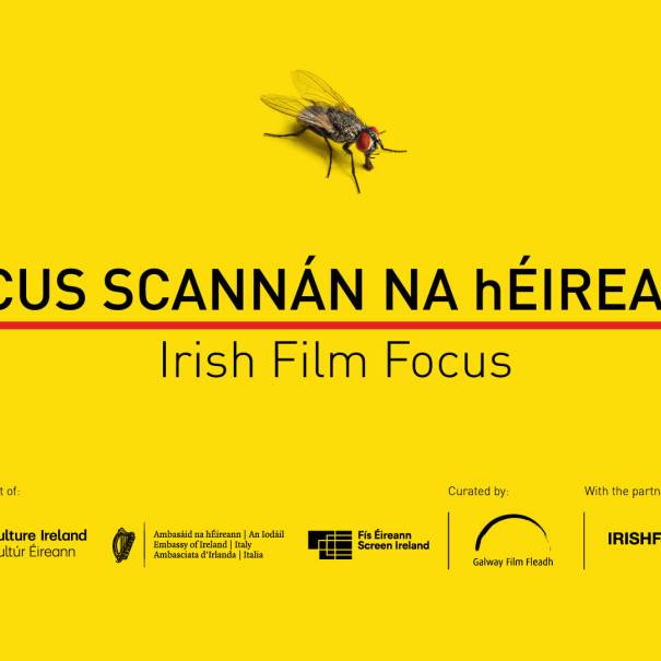 Ireland in Focus at Torino Short Film Market