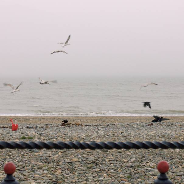 Fís Éireann/Screen Ireland Announces Successful Teams for Latest Round of Focus Shorts