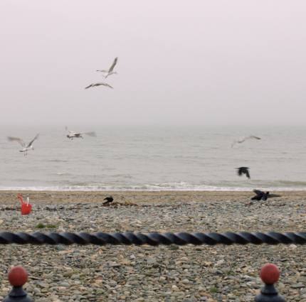 Fís Éireann/Screen Ireland Announces Successful Teams for Latest Round of Focus Shorts