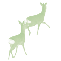 Cláir Mhaoiniúcháin