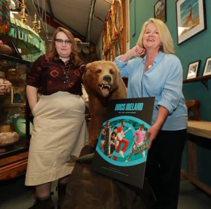 Docs Ireland launches its seventh festival programme