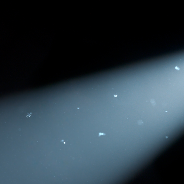 Record number of applications for 2025 round of Screen Ireland’s new writing scheme, Spotlight