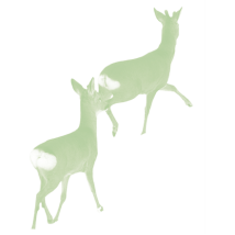 Cláir Mhaoiniúcháin