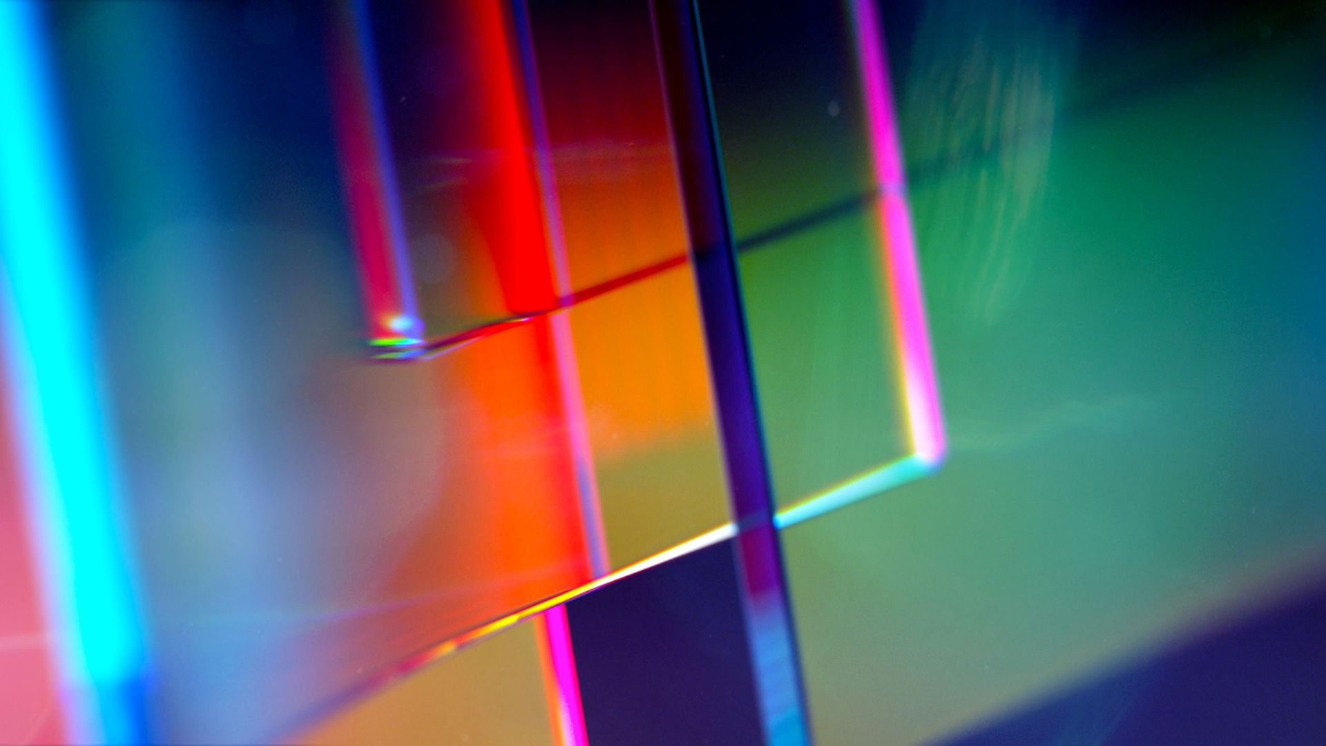  Culture & Wellbeing Short Courses (February-March 2025)