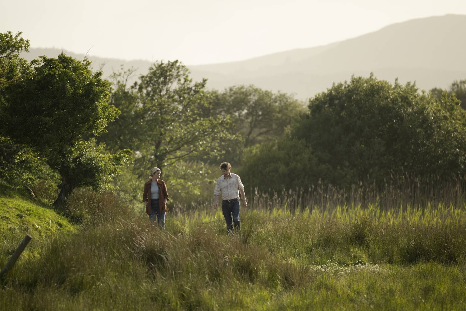 Iasachtaí d’Fhorbairt Scannán 