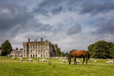 Borris House, Co. Carlow
