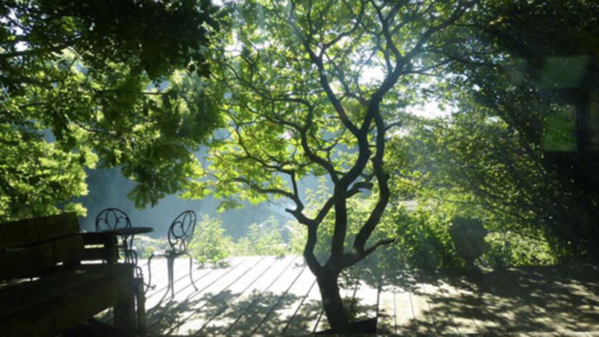 Aligning with Flow: Creative Development Retreat (July 2025)