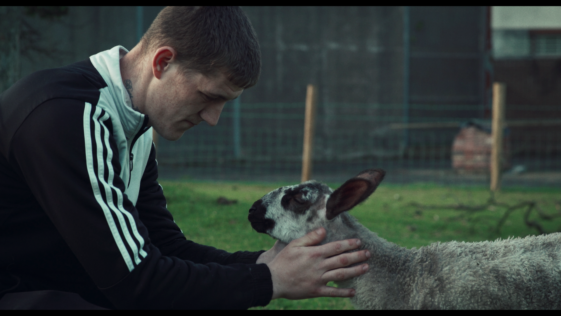 Docs Ireland 2026 launches programme