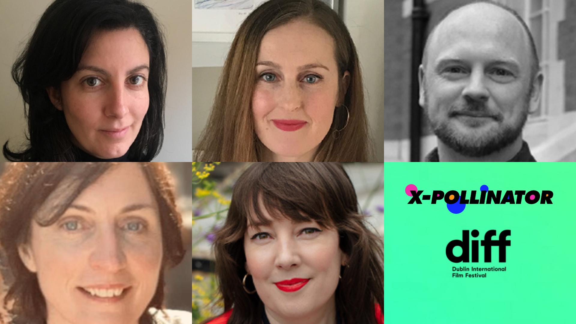 X-Pollinator / Dublin International Film Festival: Producers Panel